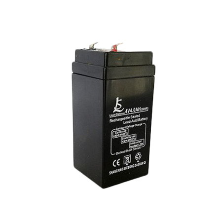 Аккумулятор CAS 4V для SWN