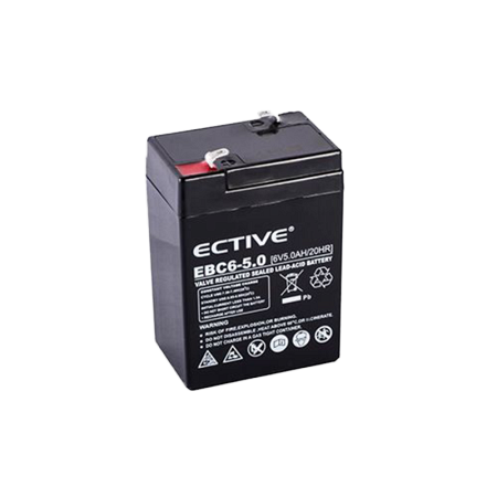 Аккумулятор CAS 6V для ED-H